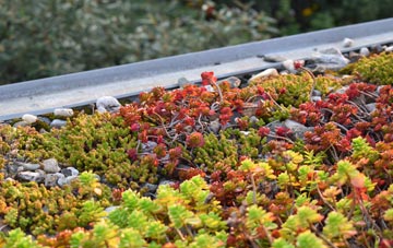 the cost of Merehead green roof installation